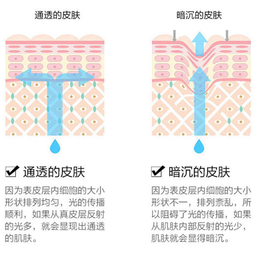 倩碧明肌净透水3号水200ml爽肤水化妆水温和洁肤水混合偏油肌肤JPY带授权招加盟代理 商品图3