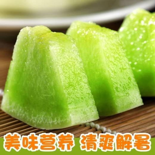 玉菇蜜瓜 商品图2