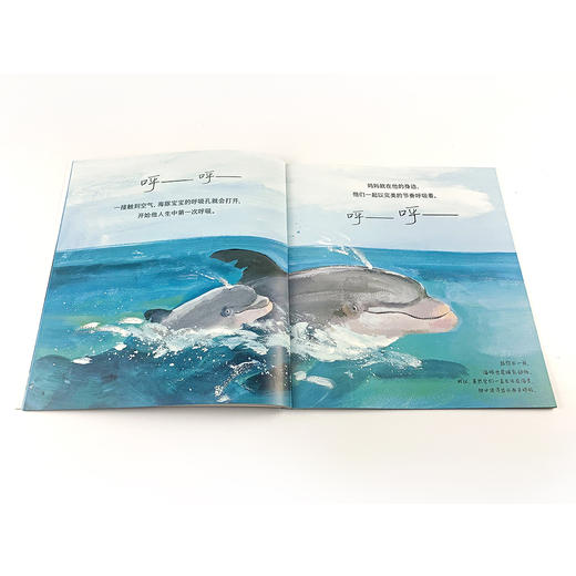 自然故事全三辑（全24册）浪花朵朵  后浪出版 商品图11