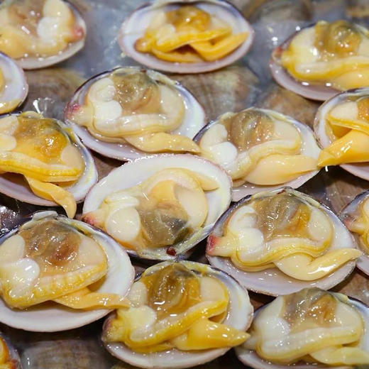 丹东黄蚬子无沙3斤