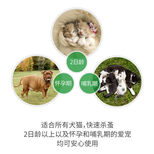 法国 福来恩 宠物体外喷剂杀虫药 猫狗通用 驱虫喷剂 去除蜱虫跳蚤 商品图4