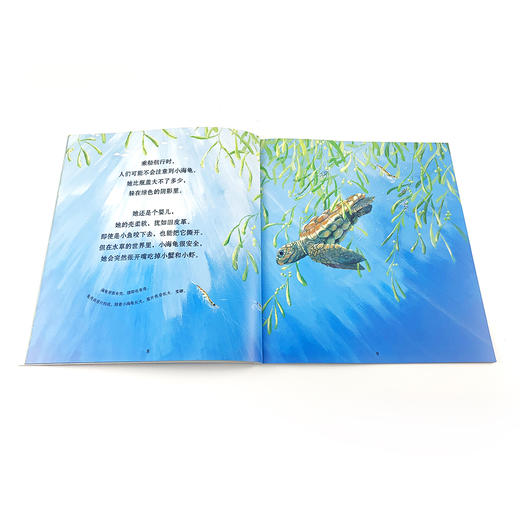 自然故事全三辑（全24册）浪花朵朵  后浪出版 商品图5