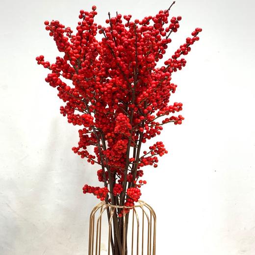 hth-北美冬青 红色 80cm 10支 不售后