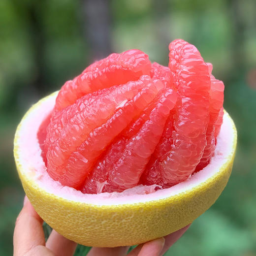 台湾嘉玛红心文旦柚外表夯夯的大个头剥开粉粉的肉质