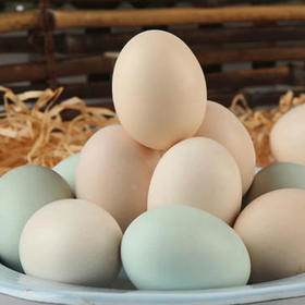 生态林下散养鸡蛋｜高山散养 蛋黄大营养高 富含卵磷脂 无激素 胆固醇含量低