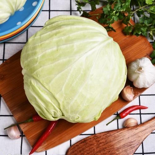 大包菜 （1.5元1斤，约1.5斤/个） 商品图0