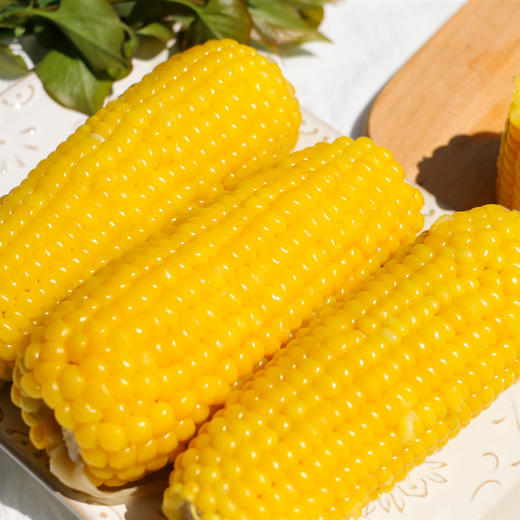 东北富硒黄金小玉米清香黏糯营养丰富好吃不长胖