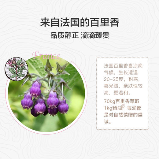 阿芙沉香醇百里香精油5mlJPY带授权招加盟代理 商品图2