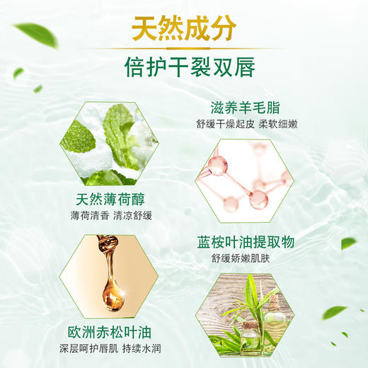 曼秀雷敦薄荷滋润唇膏保湿防干裂补水男女学生旗舰店口红打底无色JPY带授权招加盟代理 商品图3