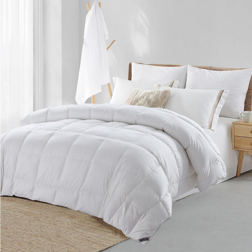 进口奥丽薇亚鹅绒被拒污PLUS 商品图0
