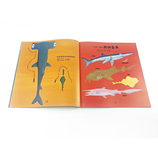 自然故事全三辑（全24册）浪花朵朵  后浪出版 商品图9