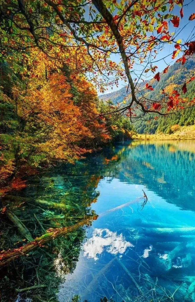 【秋季丨九寨沟&黄龙】4-8人小团,在最美的时间,走进人间仙境 四日游