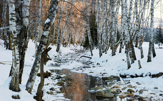 【颂•雪  北疆】五彩湾古海温泉、世界魔鬼城、冰雪喀纳斯、禾木、白哈巴雾凇【越野车】9天 商品图5