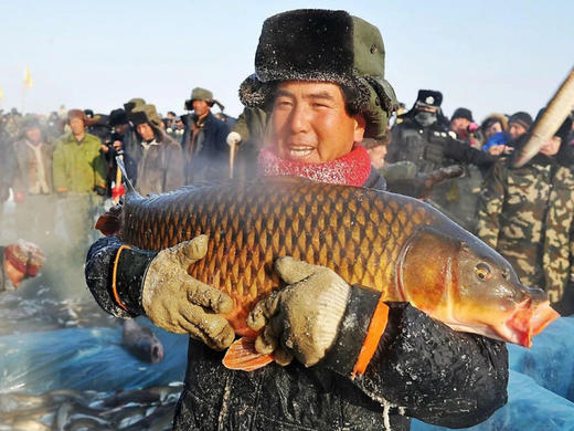 【颂•雪  北疆】乌伦古湖冬捕、世界魔鬼城、冰雪喀纳斯、禾木【越野车】9天 商品图7