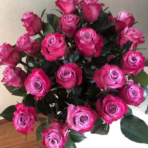 嫣然玫瑰,一扎18-20支,包邮 - 拉芙鲜花