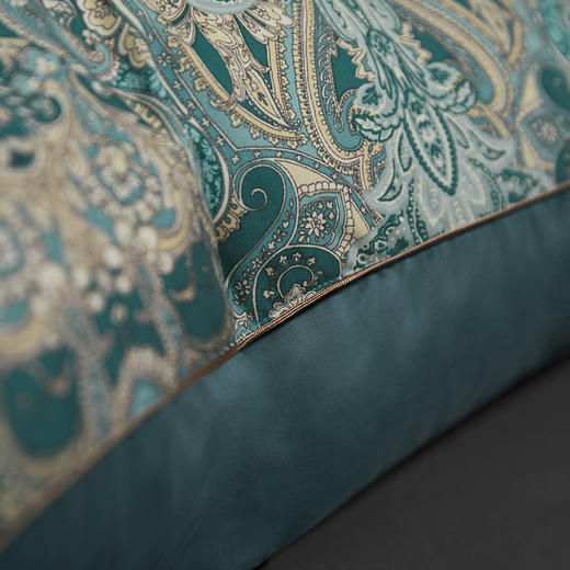 圣劳伦斯可水洗鹅绒枕 商品图3