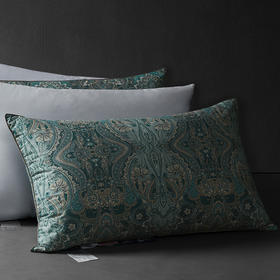 圣劳伦斯可水洗鹅绒枕