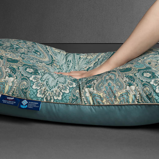 圣劳伦斯可水洗鹅绒枕 商品图1