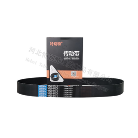 特别特12pk1197乘龙尖头潍柴国五460马力风扇带/配涨紧轮4241（电机带1462涨紧轮9530）121197（121197）皮带