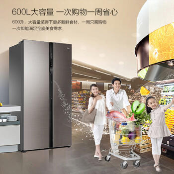 海尔（Haier）冰箱BCD-600WDGN玛瑙棕 商品图4