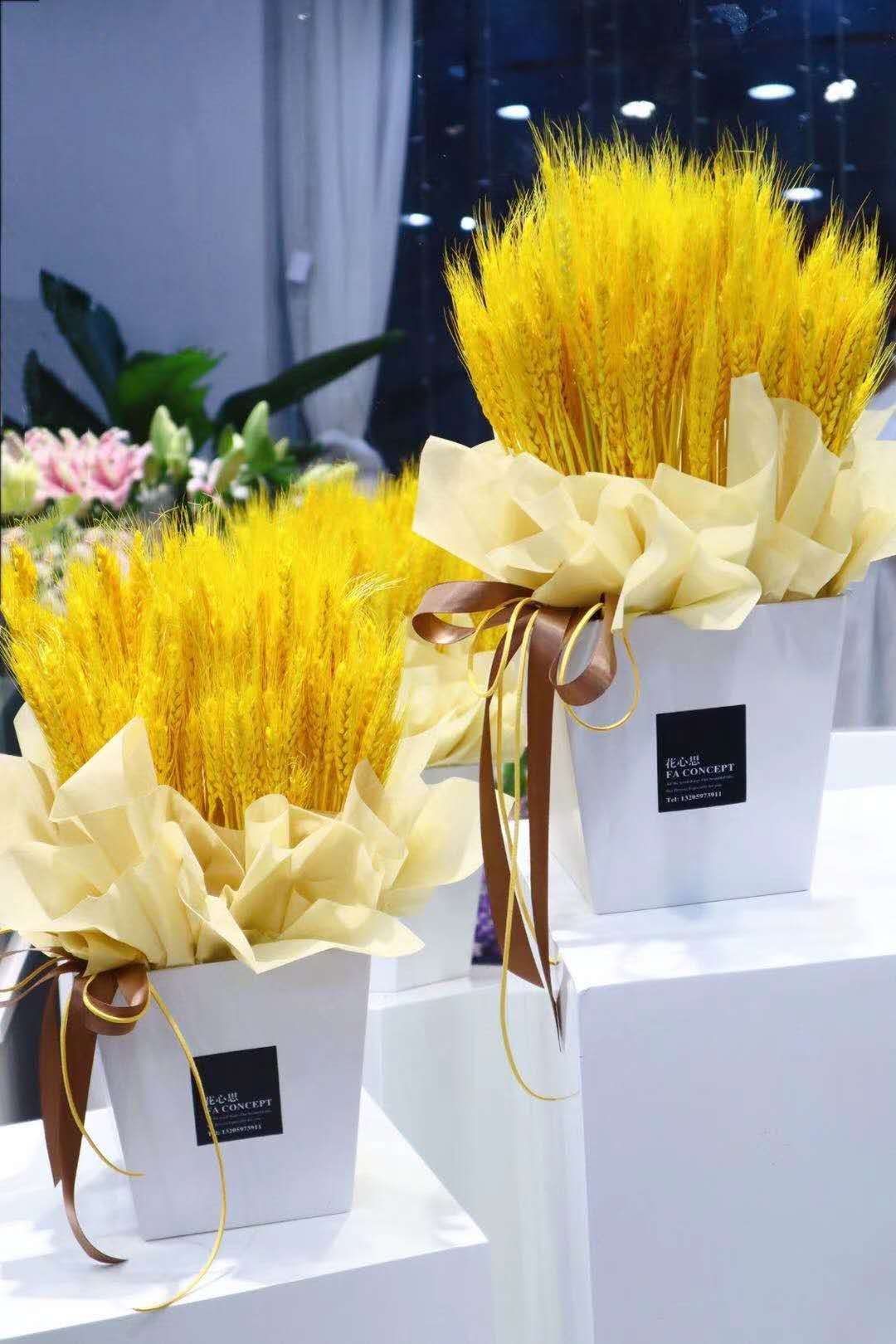 大麦/金色麦穗,寓意大卖!一扎约40支(普通包装)陆运包邮