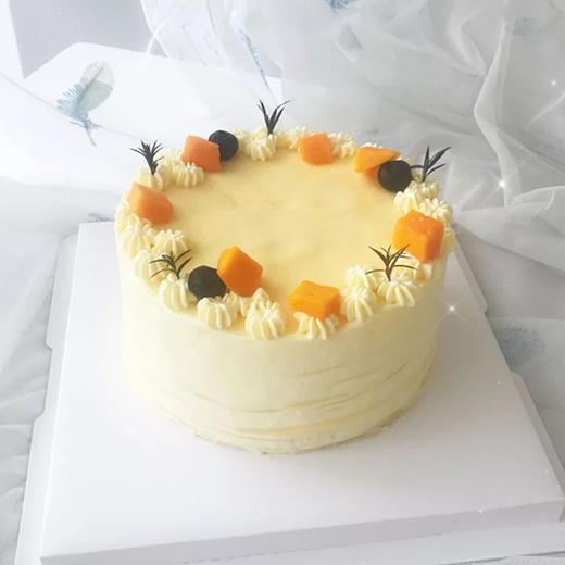 芒果千层 商品图1