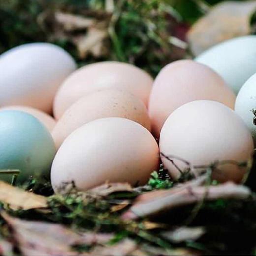 丨生态丨黑鸡鸡蛋 富硒 旧院黑鸡鸡蛋 乌鸡鸡蛋   国家产品地理标志产品 商品图0