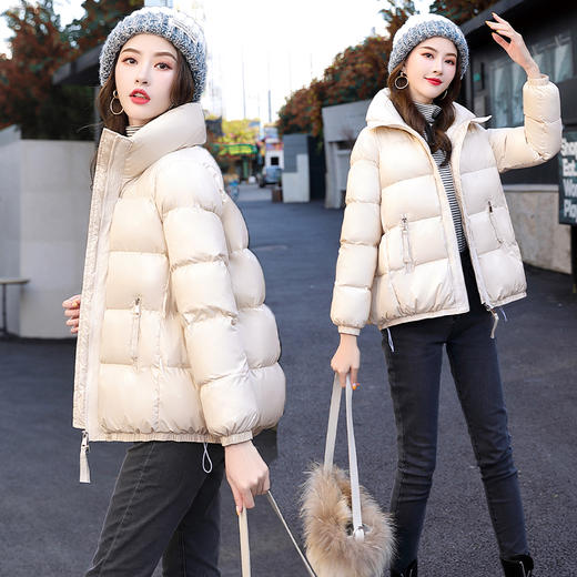 WZNH-ZRX9069时尚气质拉链门襟立领2020冬季百搭短款棉衣 商品图0