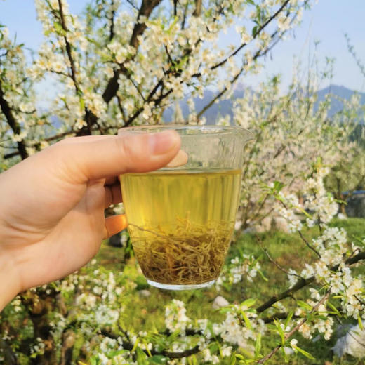 【有机种植方式】土家茶 茅岩莓（48克/罐）体验装 商品图7