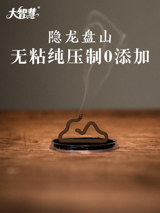 【大智慧】515芽庄虫漏 无粘压制 商品图4