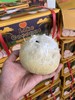 周二取货：【泰国椰皇】来自大自然的椰子水！喝完还可以吃肉肉哦！ 商品缩略图2