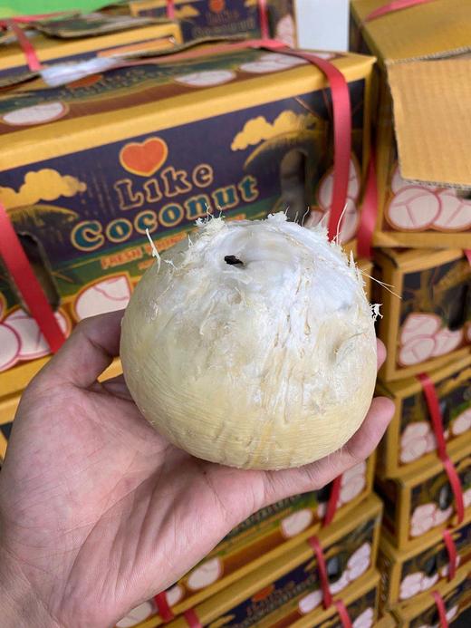 周二取货：【泰国椰皇】来自大自然的椰子水！喝完还可以吃肉肉哦！ 商品图2