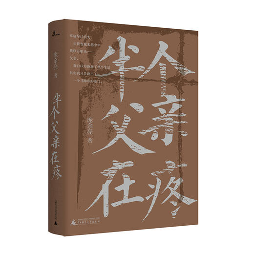 【“云端书展”专区】半个父亲在疼 庞余亮自传体亲情散文集  商品图0