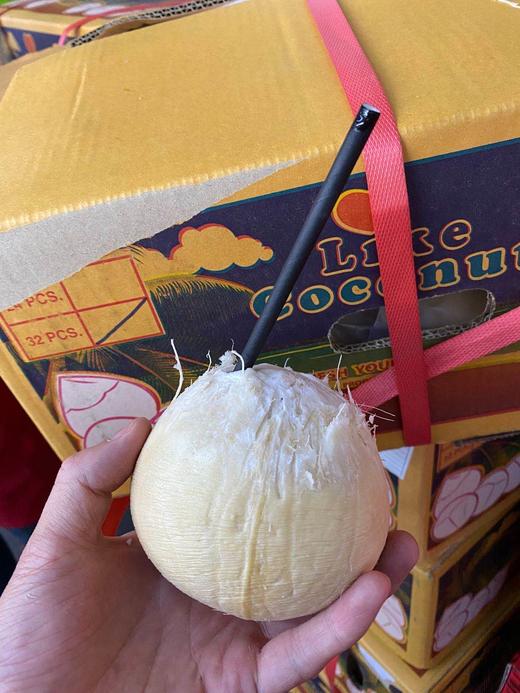 周二取货：【泰国椰皇】来自大自然的椰子水！喝完还可以吃肉肉哦！ 商品图1