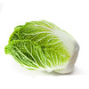 【基地直发】 有机大白菜6斤装10斤装欧盟认证包邮 商品缩略图4