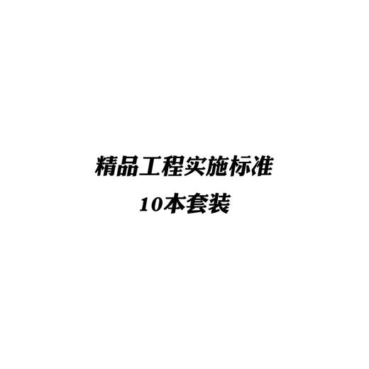 精品工程实施标准（十本任选） 商品图0