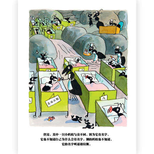 一只拥有名字的蚂蚁 商品图2