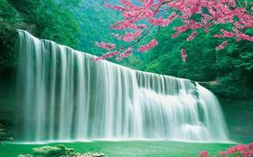 焦虑与情欲：肝肾的深层作用