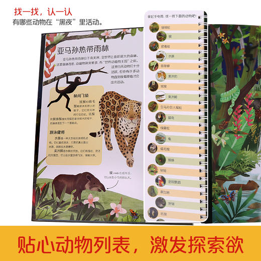 乐乐趣-手电筒探秘 夜晚的动物 商品图3