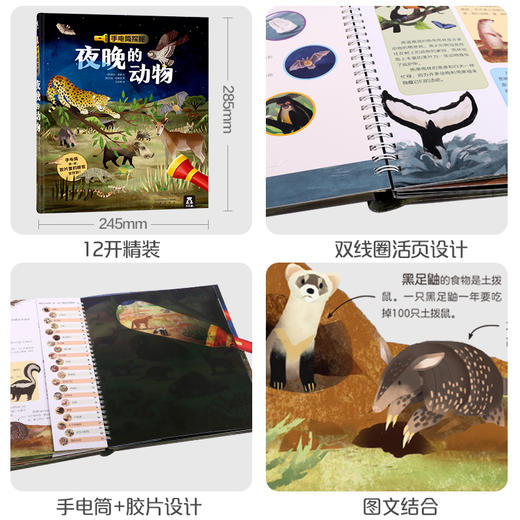 乐乐趣-手电筒探秘 夜晚的动物 商品图4