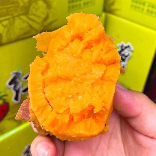 【糖心蜜薯】每袋约5斤，软糯香甜，最适合烤着吃 商品图7