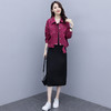 YYXS-8003大码女装两件套2020年秋季新款减龄连衣裙洋气显瘦套装 商品缩略图3