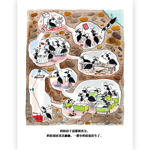 一只拥有名字的蚂蚁 商品图1