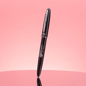 毕加索PS-606钢笔