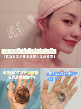 BD大麻洗护是真的❓能防脱并生发吗？