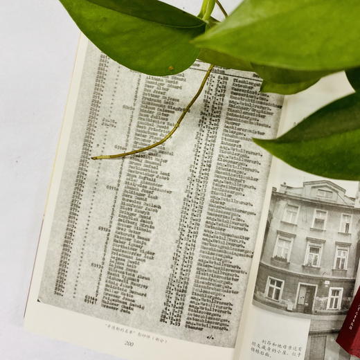 木箱上的小男孩   六年级正版现货速发|名师推荐|小学生课外阅读6年级 商品图2