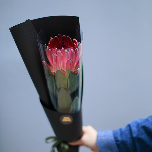 「单品花材」公主 商品图1