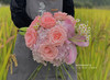 【月半弯】粉玫瑰9 粉色小绣球1 洋甘菊2 粉百合3朵 （夏木设计） 商品缩略图2