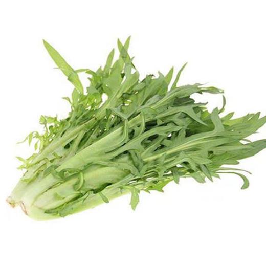 苦麦菜 500g 商品图0
