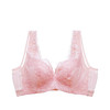 雅黛丽内衣女士蕾丝杯面软钢圈定型薄杯全罩杯大胸显小文胸胸罩DYW0616 商品缩略图1